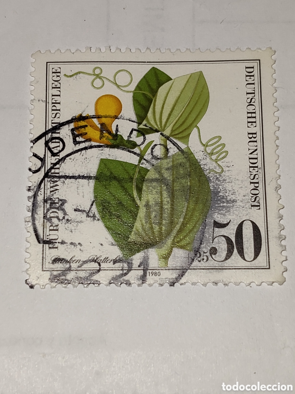 Briefmarken: Sello de Alemania Federal plantas silvestres en peligro 1980