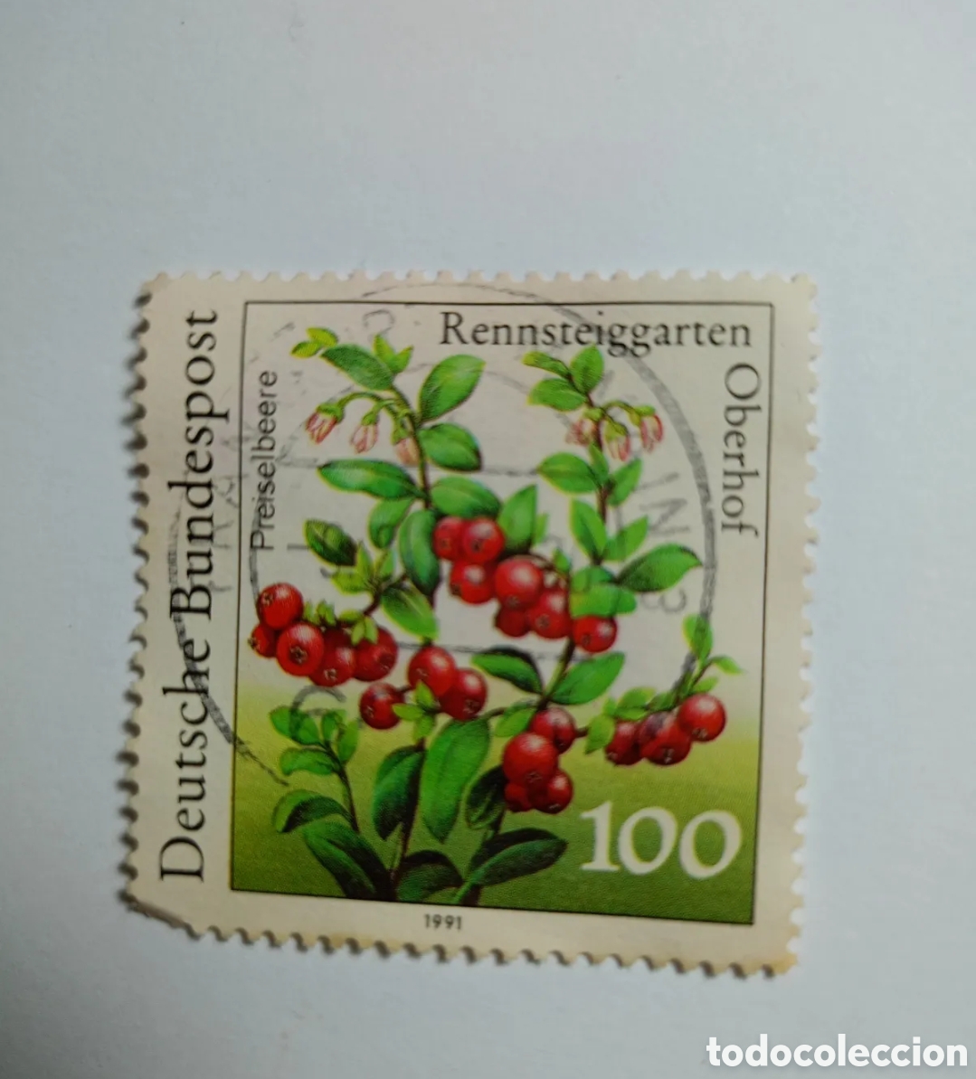 Timbres: sello postal alem&aacute;n de 1991 presenta una ilustraci&oacute;n de ar&aacute;ndanos rojos (Preiselbeere).Fue emiti