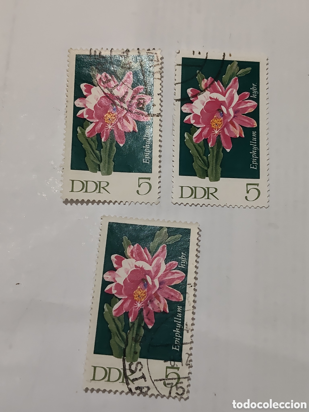 Selos: 3 sellos de la DDR Cactus y flores 1970