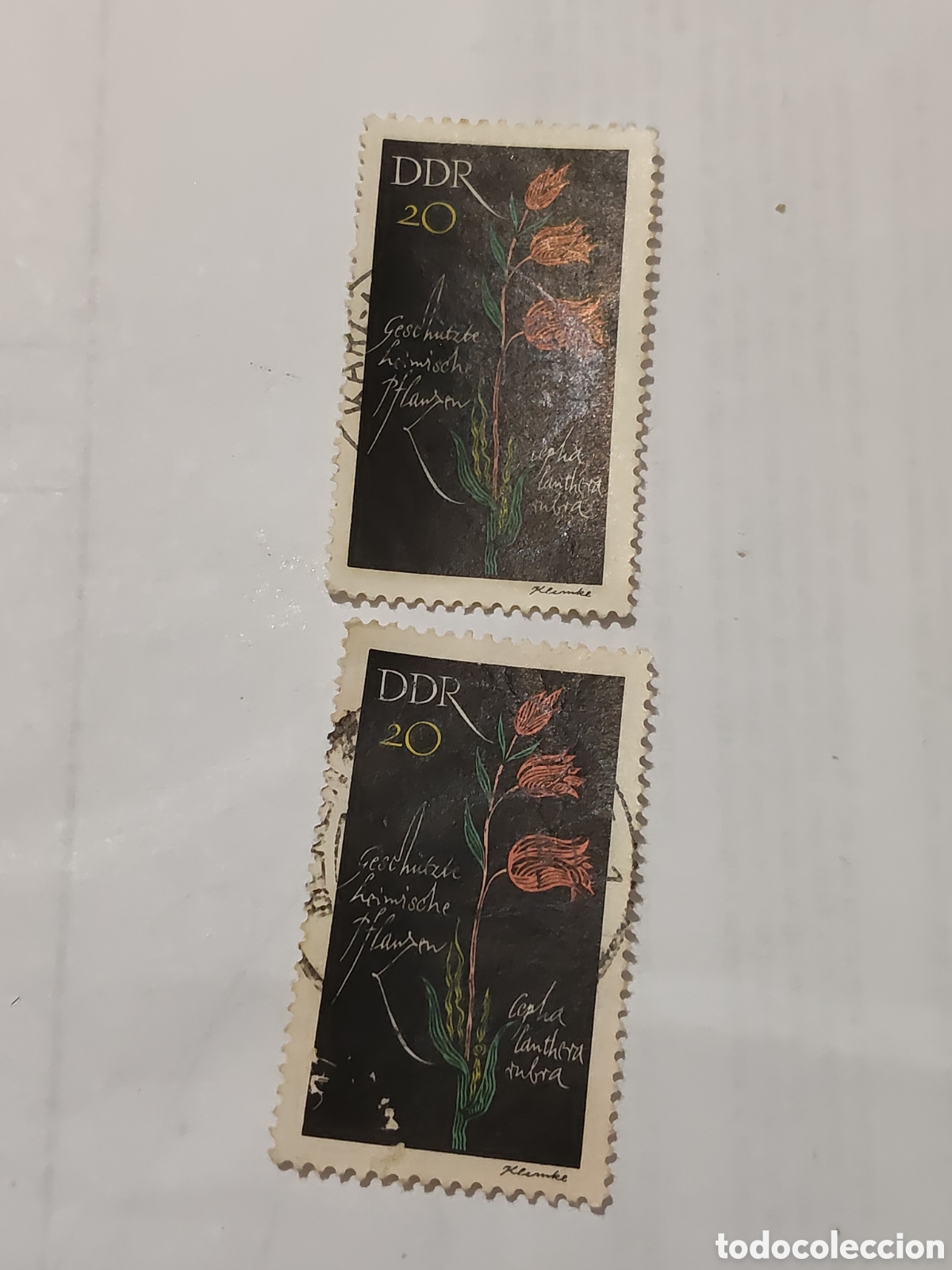 Selos: 2 sellos de la DDR plantas nativas protegidas Cefalentera roja 1966