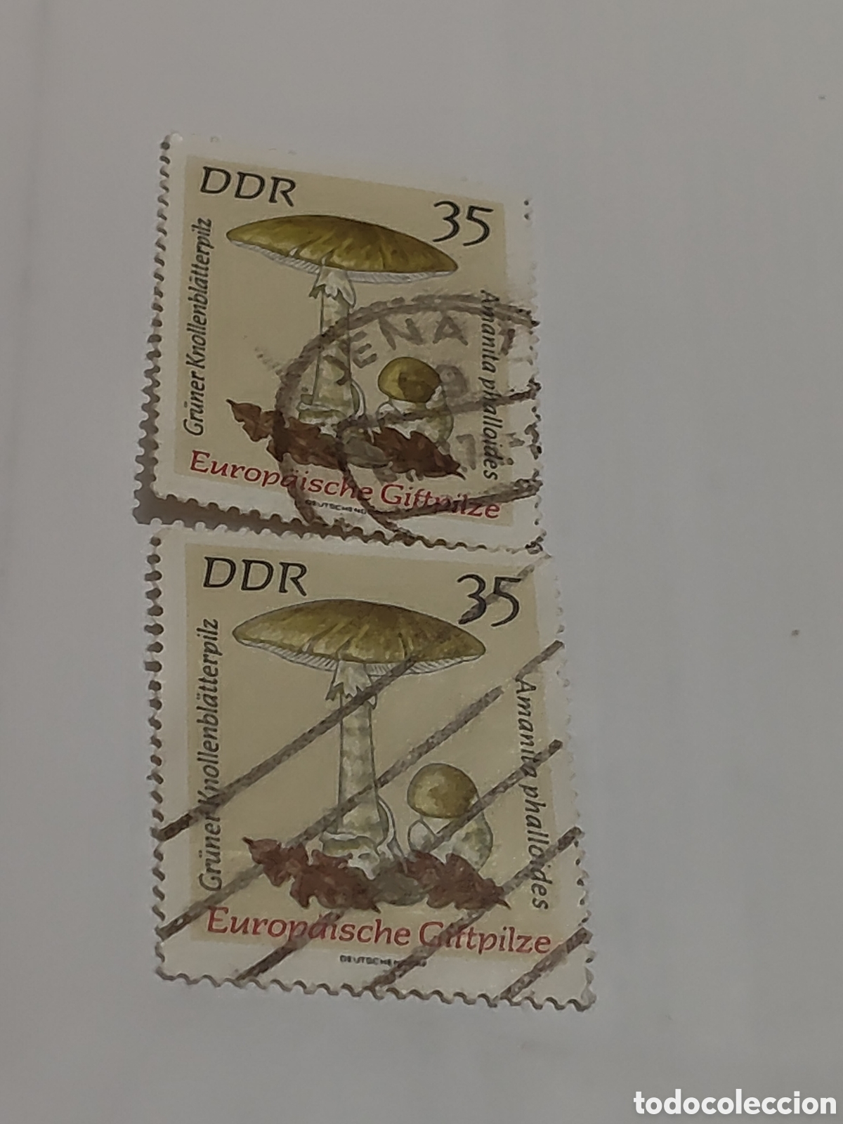 Sellos: 2 sellos de la DDR Setas venenosas europeas 1974