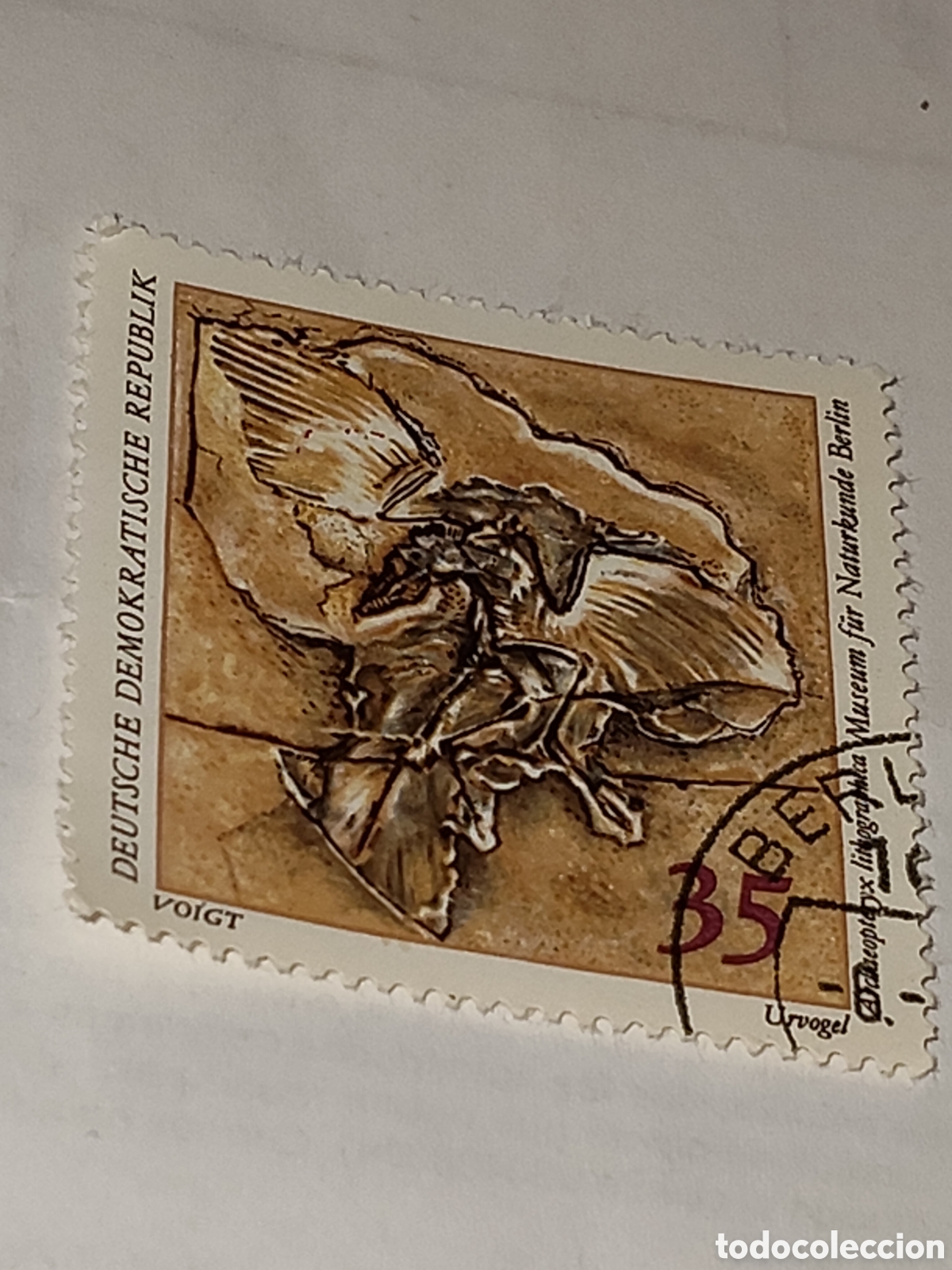 Stamps: Sello de la DDR serie F&oacute;siles 1973