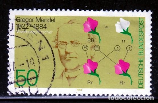 Sellos: ALEMANIA FEDERAL // YVERT 1031 // 1980 ... USADO