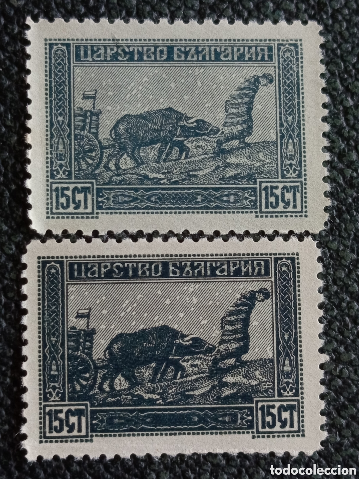 Sellos: Pareja Sellos Bulgaria 1917 B&uacute;falos 15st Variedad Tonalidad Michel 113a/113b MH