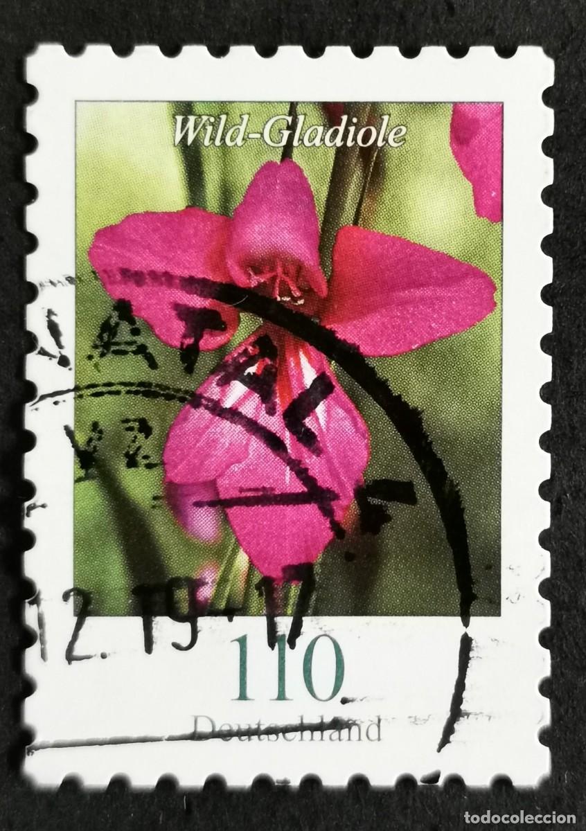Sellos: Sello Alemania R.Federal 2019, Flores definitivas: Gladiolo silvestre, 110 ct Michel: DE 3489