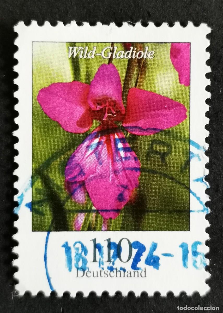 Sellos: Sello Alemania R.Federal 2019, Flores definitivas: Gladiolo silvestre, 110 ct Michel: DE 3471