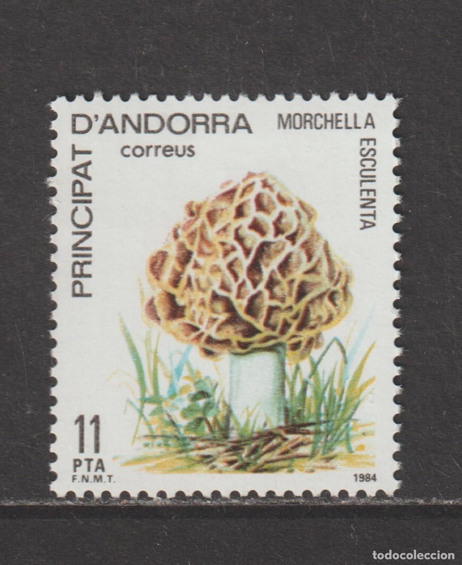 Sellos: Andorra espa&ntilde;ola 1984 - Edifil 181 mnh**