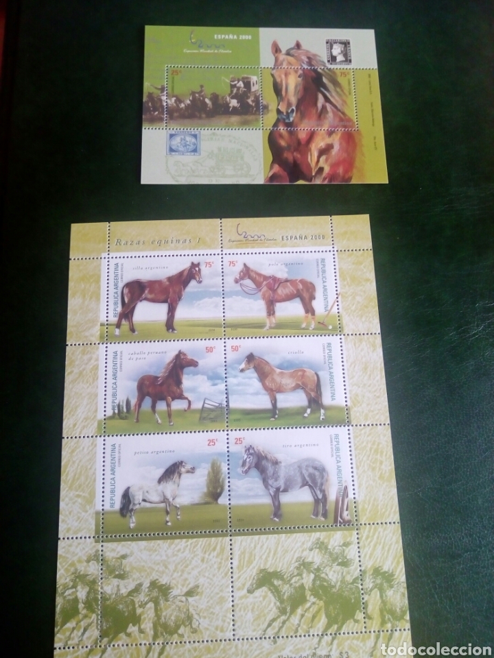 Sellos: Argentina. Caballos. Espa&ntilde;a 2000 - Foto 1