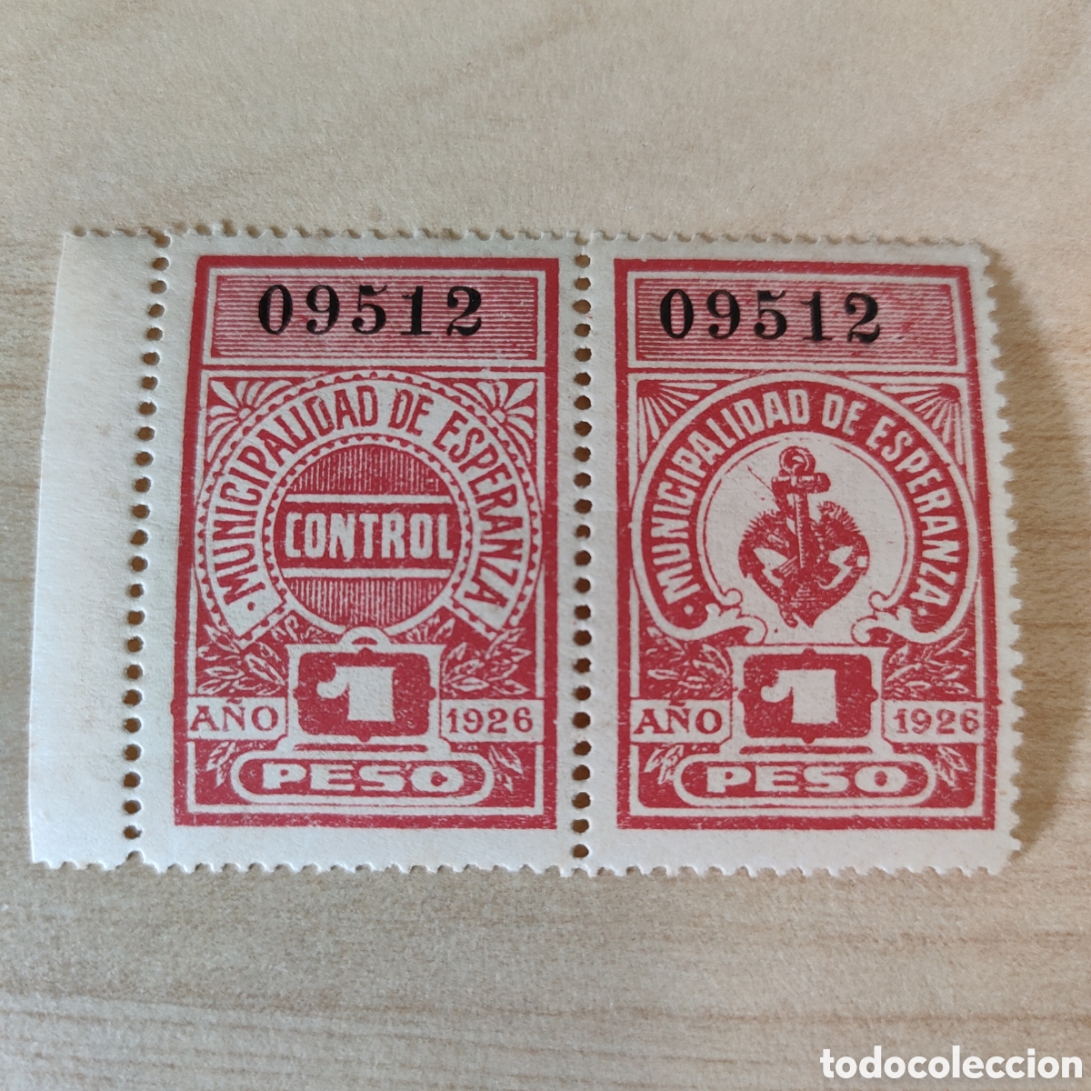 Stamps: 1a0 FISCALES Municipalidad de Esperanza Santa Fe ARGENTINA pareja VARIEDADES