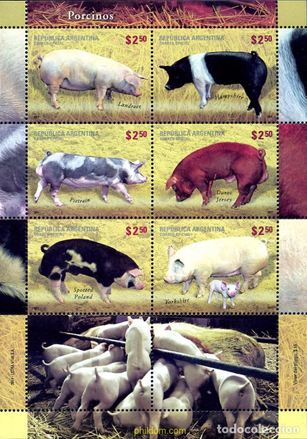 Sellos: 305530 MNH ARGENTINA 2011 RAZAS DE CERDOS