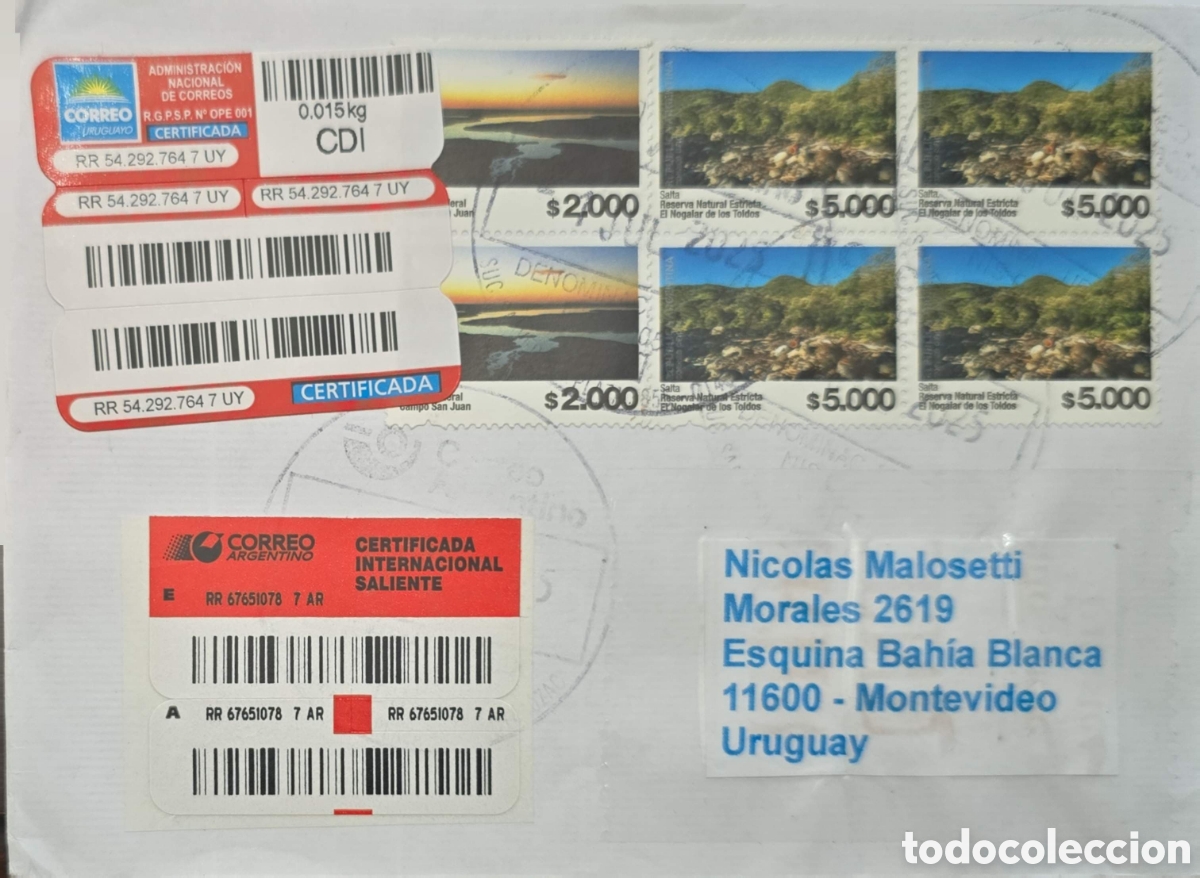 Sellos: CA)Argentina + 1990s + Certified Airmail Nature Issue + Envelope franked with Argentine stamps depic