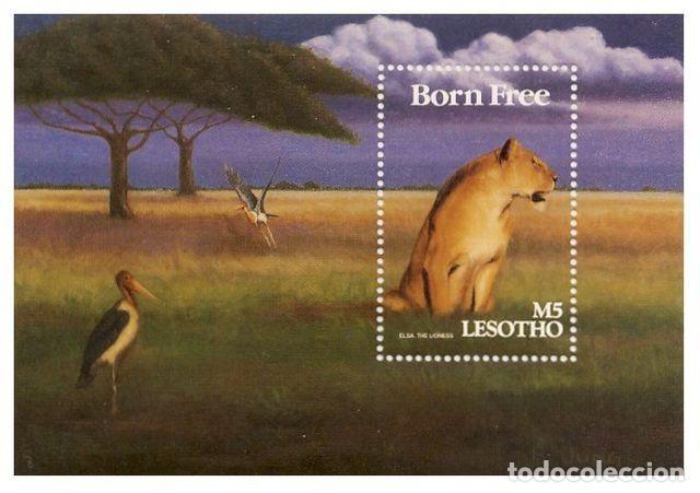 Sellos: LESOTHO. ELSA - NACIDA LIBRE - Foto 1