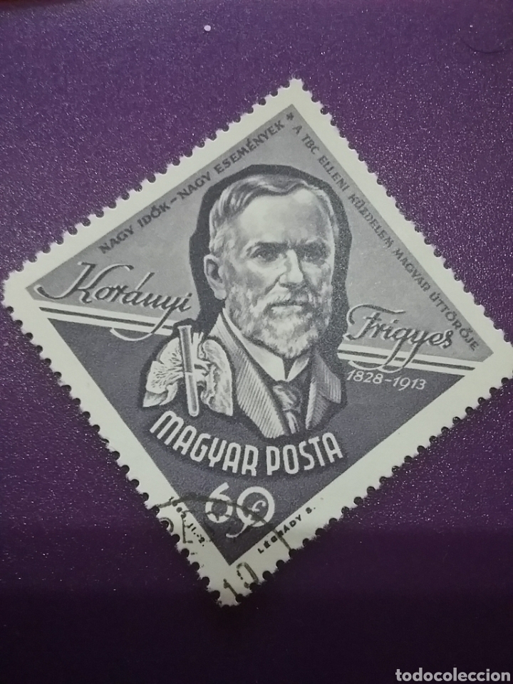 Sellos: Sello Hungr&iacute;a (Magyar P) mtdos/1963/50Aniv/muerte/Koranyi/Frigyes/fisico/arte/celebridad/famoso//