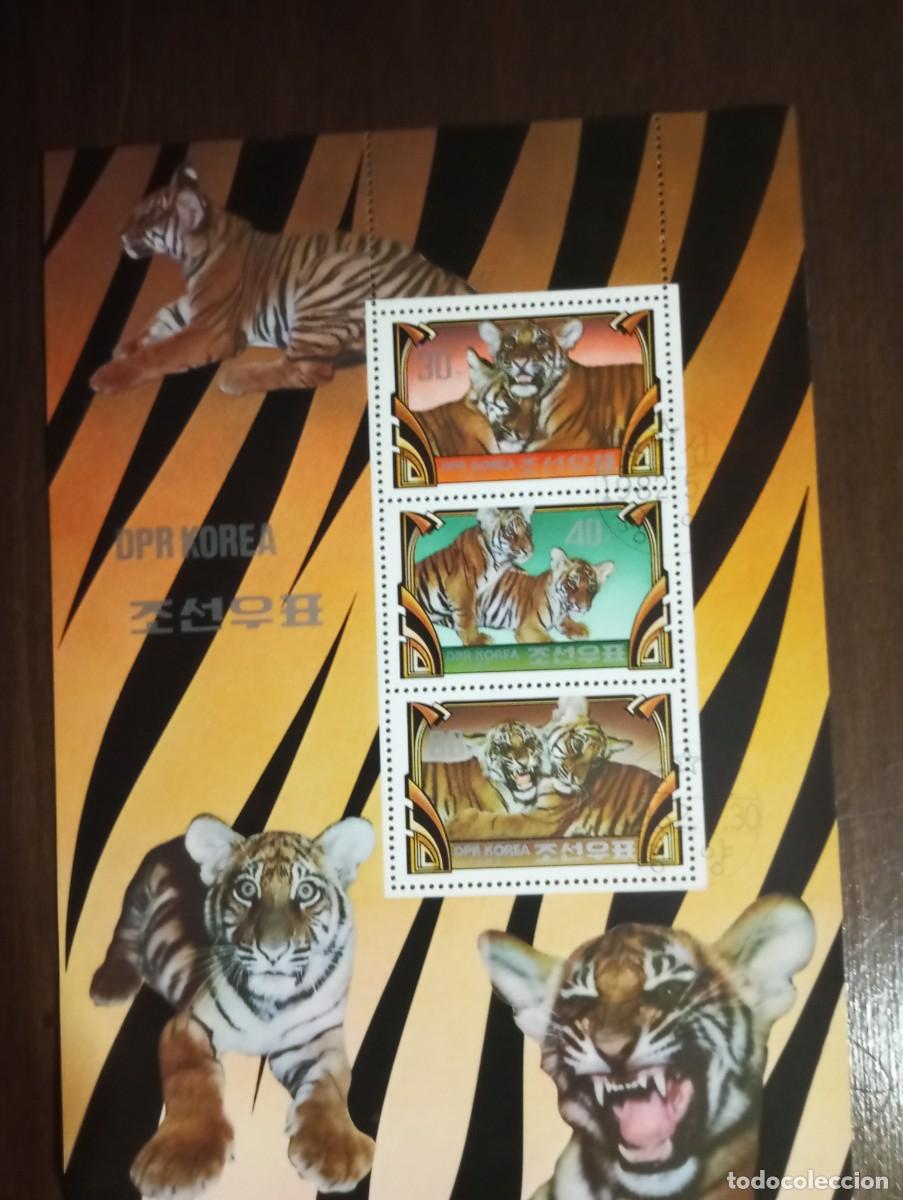 Sellos: FAUNA, TIGRES HB DE COREA 1982 - Foto 1