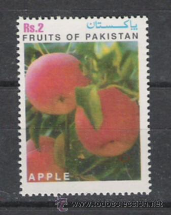 Sellos: PAKISTAN  SERIE DE FLORA - Foto 1