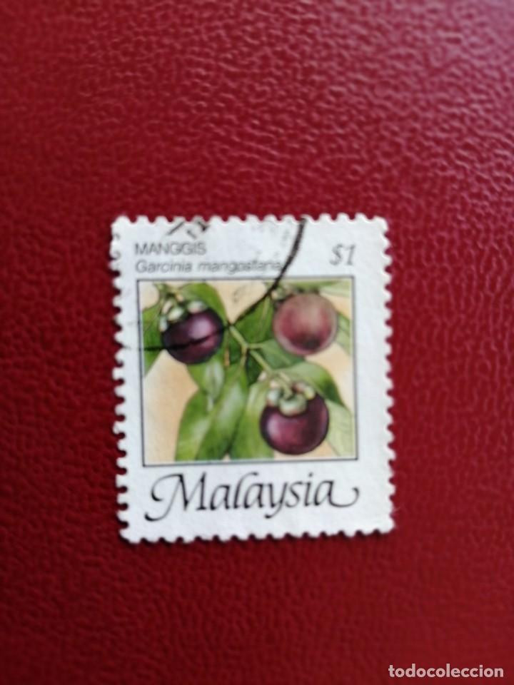Briefmarken: MALASIA - MALAYSIA - VALOR FACIAL 1 - FRUTA - MANGGIS