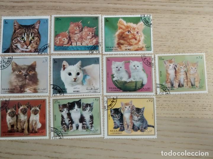 Stamps: 10 sellos SHARJAH (Emiratos Arabes Unidos) 1972. Serie Cats-Kittens