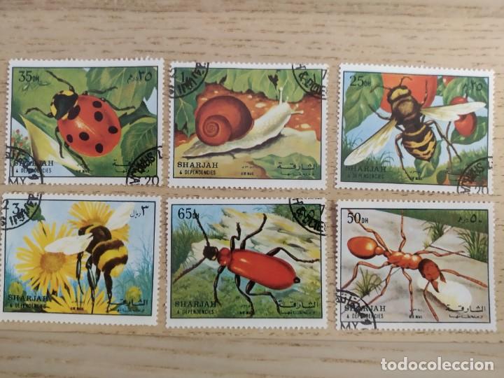 Stamps: 6 sellos SHARJAH (Emiratos Arabes Unidos) 1972. Serie Invertebrates