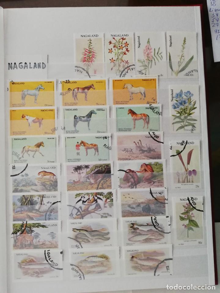 Sellos: NAGALAND - Foto 1