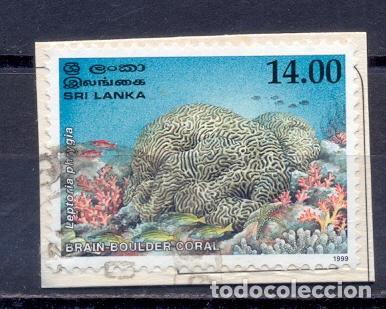 Sellos: Sri Lanka -2000- usado - Foto 1