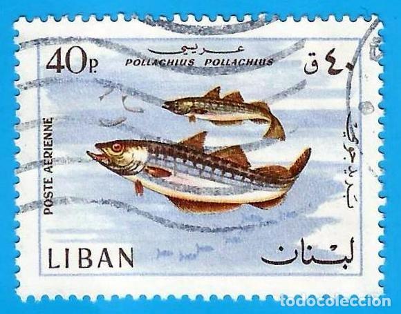 Sellos: Libano. 1968. Scott # C536. Peces. Abadejo - Foto 1