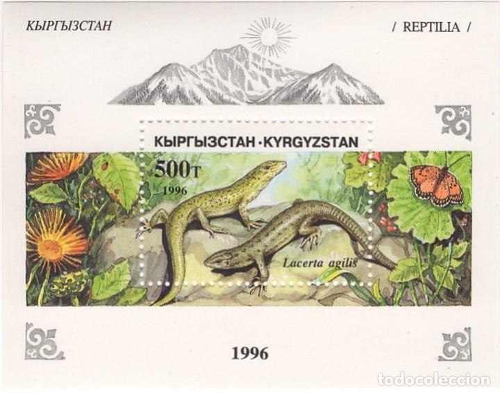 Stamps: KYRGYZSTAN / KIRGUISTAN - REPTILES / LAGARTO DE LAS ARENAS - A&Ntilde;O 1996 - 1 HB NUEVA Y PERFECTA