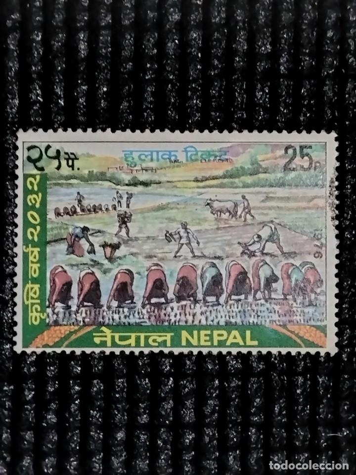 SELLOS DEL NEPAL - 324 - AÑO 1976 - 25 B (Sellos - Extranjero - Asia - Otros paises)