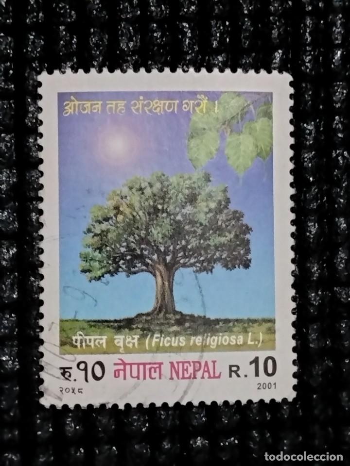 SELLOS DEL NEPAL - 732 - AÑO 2001 - 25 B (Sellos - Extranjero - Asia - Otros paises)