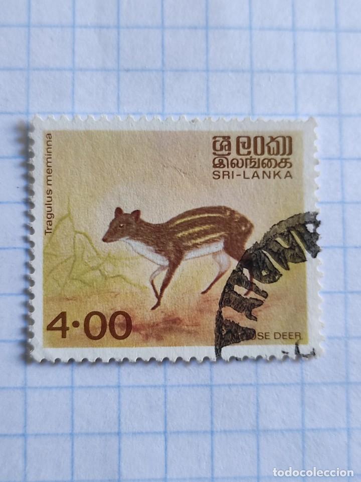 Sellos: 1981 Sri Lanka - Foto 1