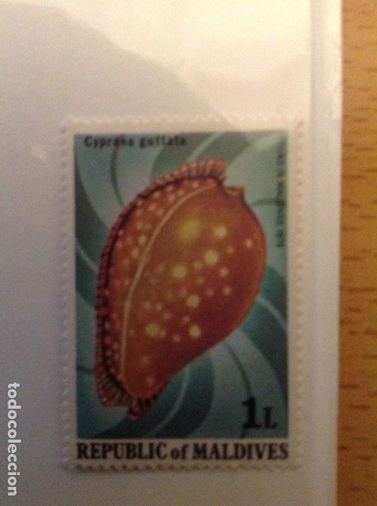 Stamps: Sellos de MALDIVAS (Asia) Num.808