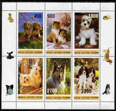 Stamps: BATUM 1996 SHEET MNH DOGS CHIENS PERROS HUNDEN CANI CAES