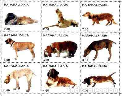 Stamps: KARAKALPAKIA 2000 SHEET MNH DOGS CHIENS PERROS HUNDEN CANI CAES