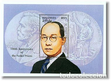 Selos: MALDIVES 1995 SHEET MNH HIDEKI YUKAWA NOBEL PRIZE NOBEL PRIX PREMIOS NOBEL