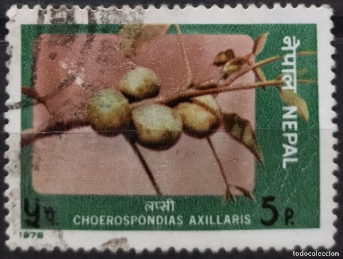 Sellos: NEPAL 1978 &Aacute;rboles. USADO. - Foto 1