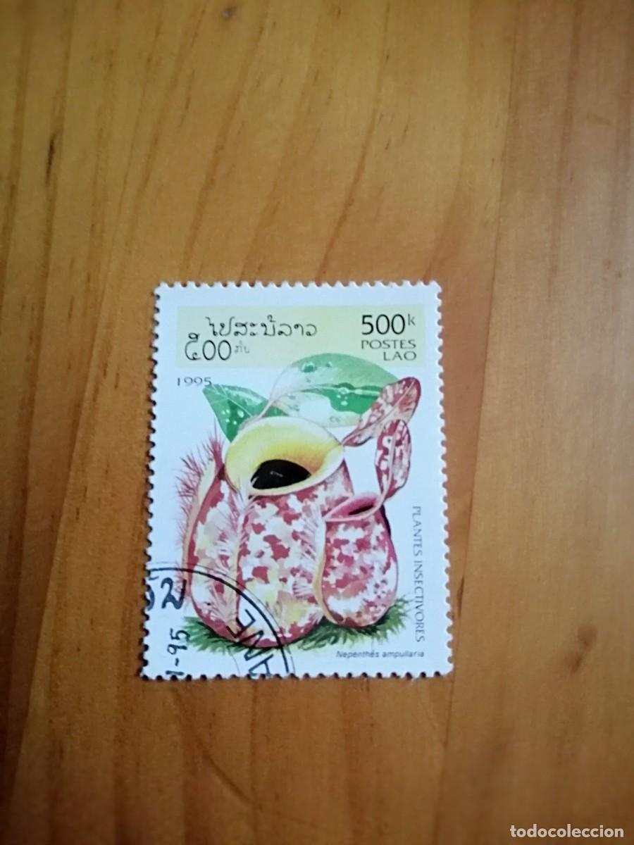 Stamps: LAOS - LAO - VALOR FACIAL 500 K - A&Ntilde;O 1995 - PLANTAS INSECTIVORAS