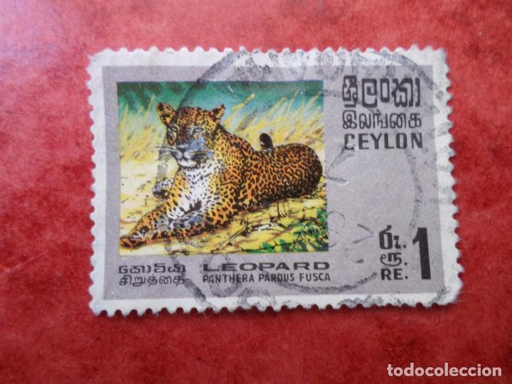 Sellos: :ceilan, 1970, leopardo, Yvert 416 - Foto 1