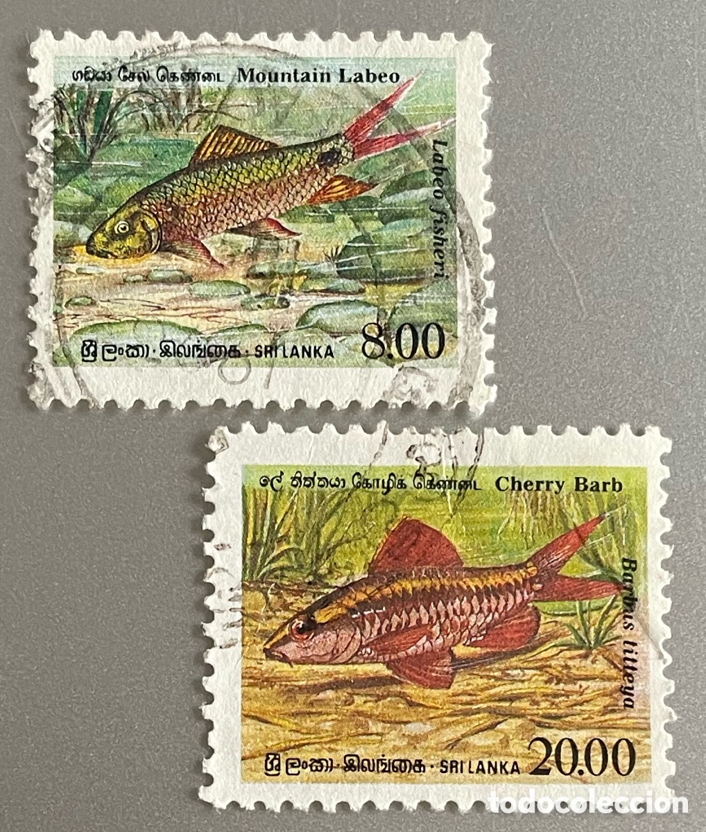 Sellos: Sri Lanka. Peces. 1990 - Foto 1