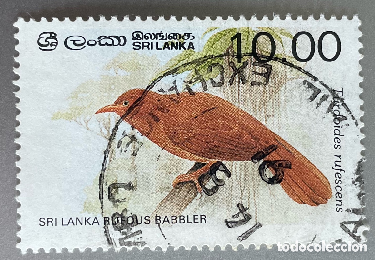 Sellos: Sri Lanka. P&aacute;jaros. Aves. 1987 - Foto 1
