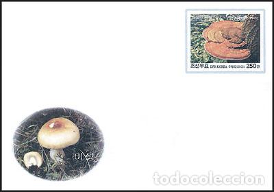 Sellos: RPDC 2003 Hongos - Foto 1