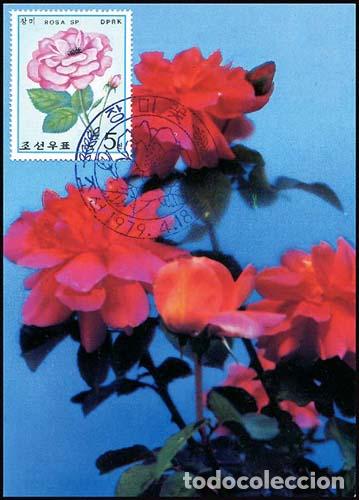 Sellos: RPDC 1979 Rosa - Foto 1
