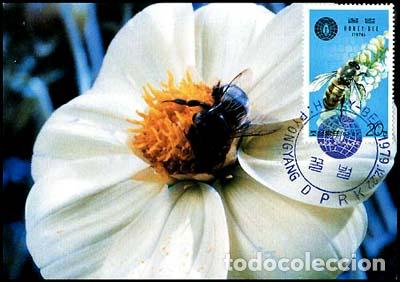 Sellos: RPDC 1979 Abeja - Foto 1