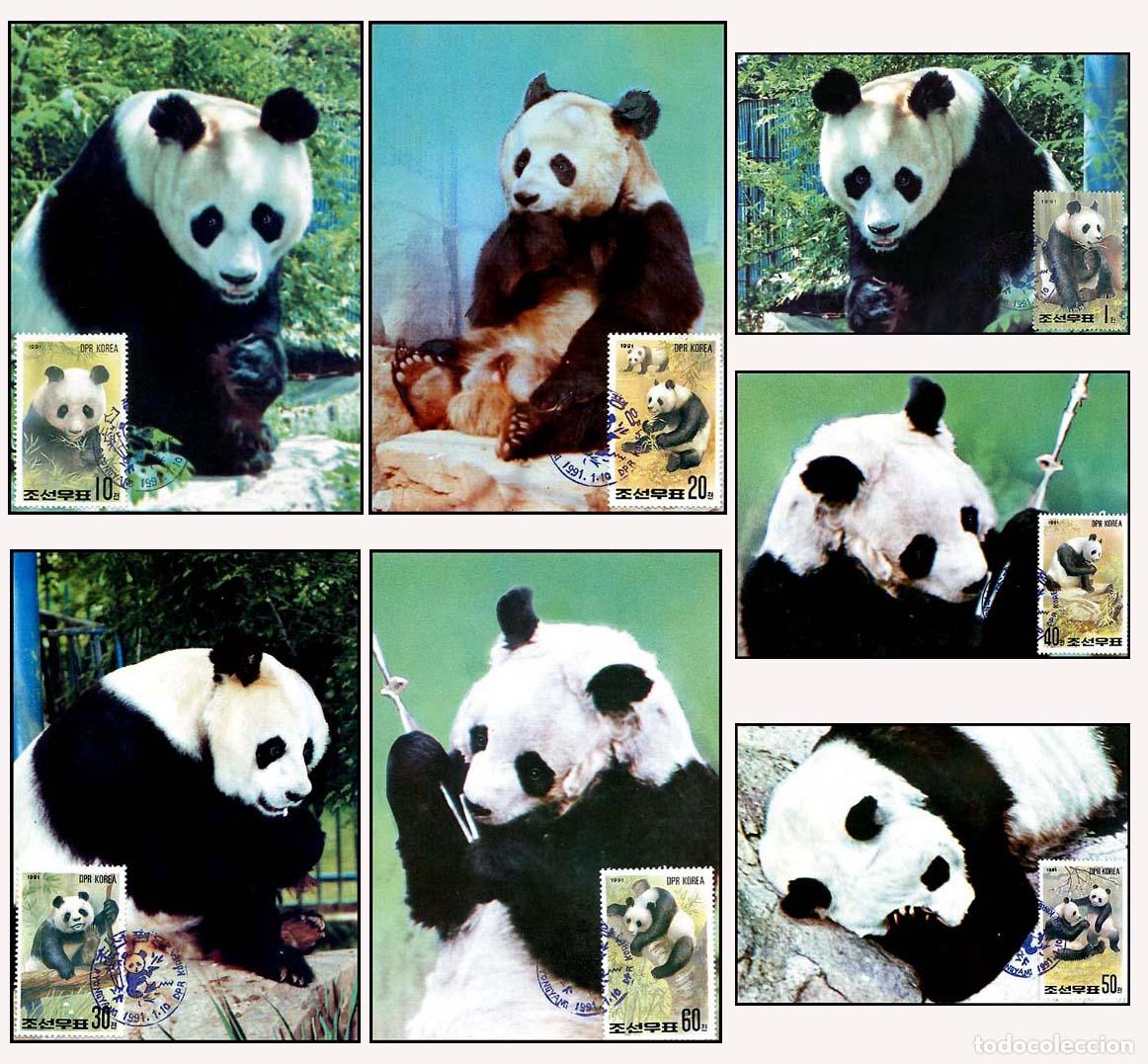 Sellos: RPDC 1991 Panda - Foto 1