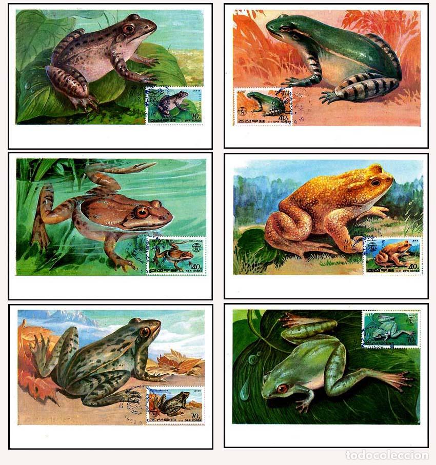 Sellos: RPDC 1992 ranas - Foto 1