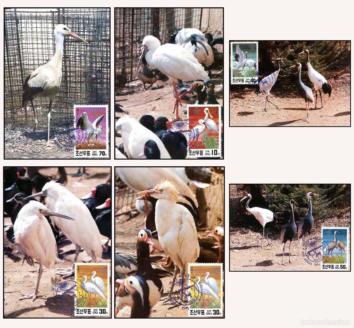 Sellos: RPDC 1991 Aves - Foto 1