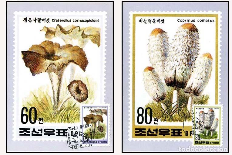 Sellos: RPDC 1995 Hongos - Foto 1