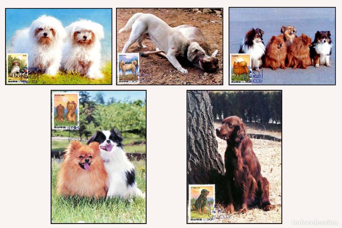 Sellos: RPDC 1994 Perros - Foto 1