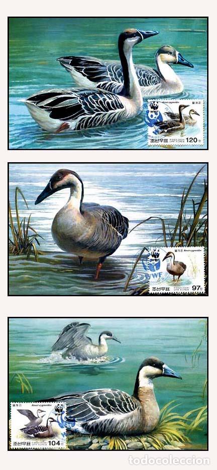 Sellos: RPDC 2004 ganso cisne - Foto 1