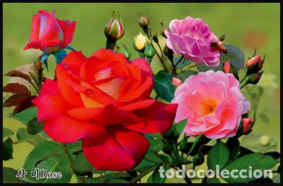 Sellos: RPDC 2012 Rosa - Foto 1