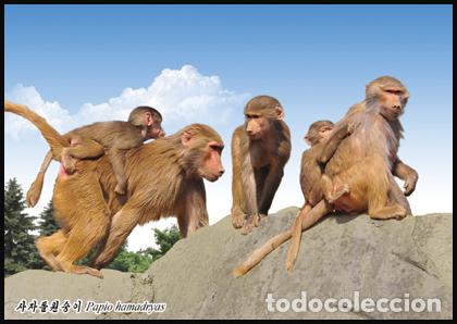 Sellos: RPDC 2016 Mono - Foto 1