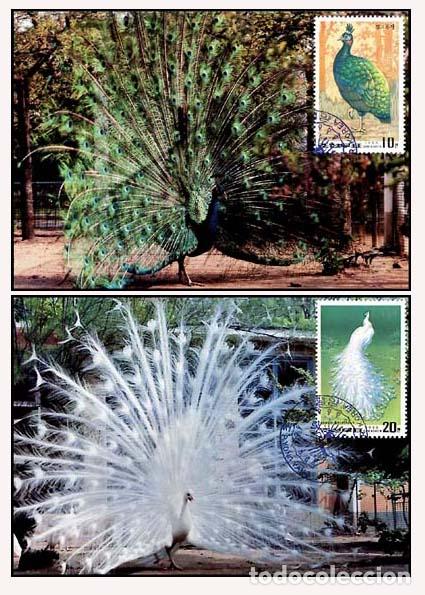 Sellos: RPDC 1989 Pavo real - Foto 1